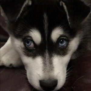 Meet your Posher, Brian